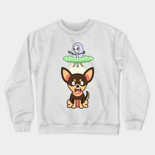 Cute small dog is abducted by aliens Crewneck Sweatshirt